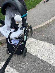 Photo of this report